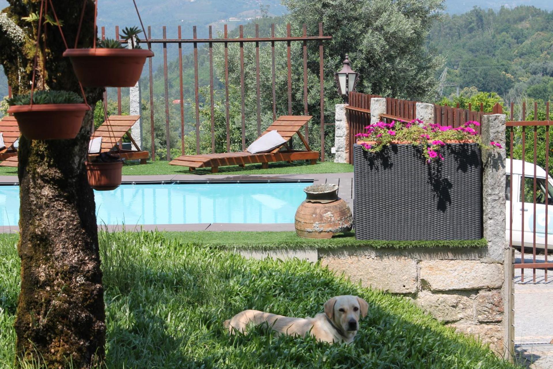 Quinta Da Mo Villa Terras de Bouro Kültér fotó